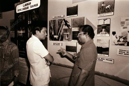 PAMERAN PERTANIAN