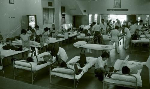 DERMA DARAH