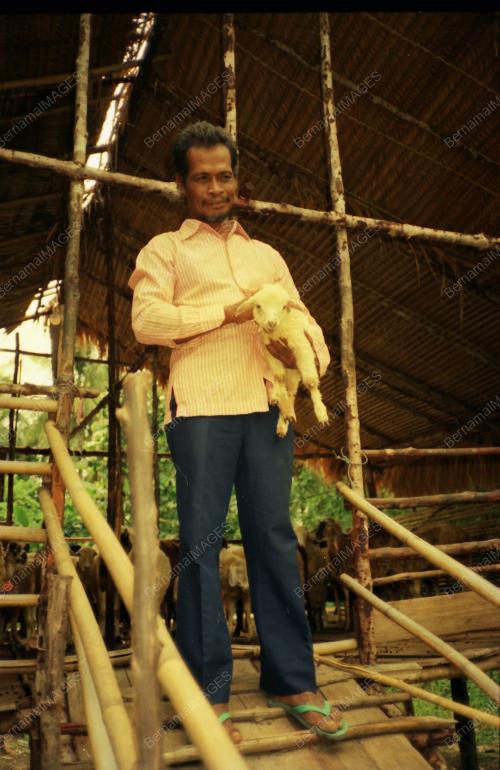 BANTU NELAYAN