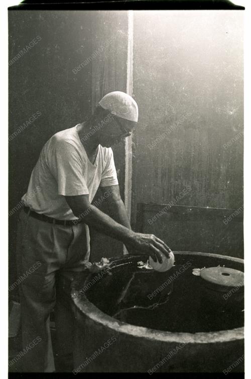 Ikan Kaloi Main Bola
