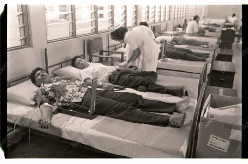 ANGGOTA RELA DERMA DARAH