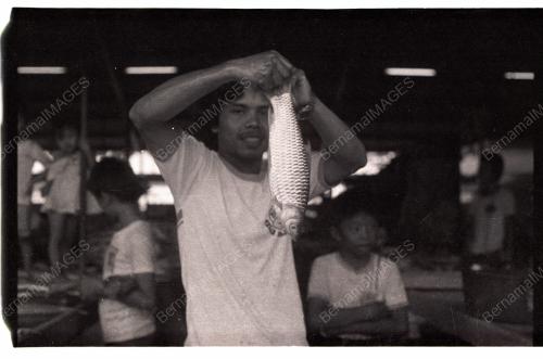 JELAWAT