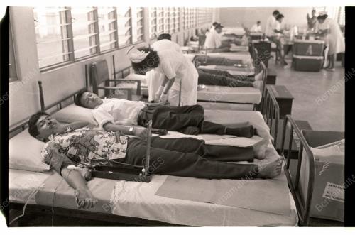 ANGGOTA RELA DERMA DARAH