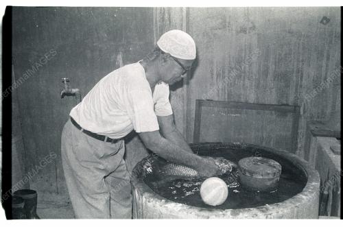 Ikan Kaloi Main Bola