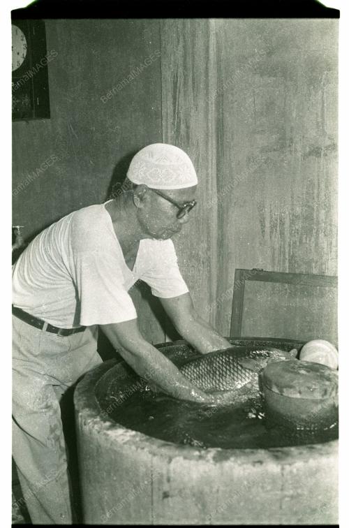 Ikan Kaloi Main Bola