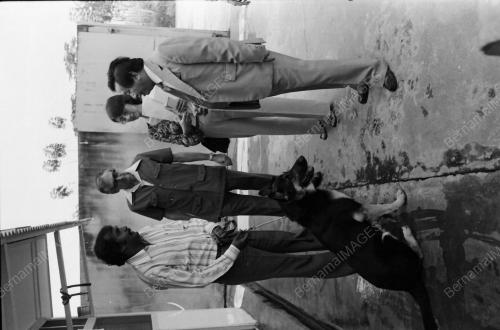 CUSTOMS DOG