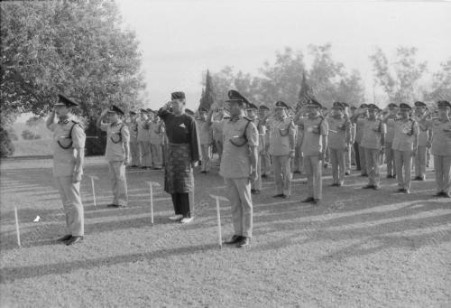 IGP