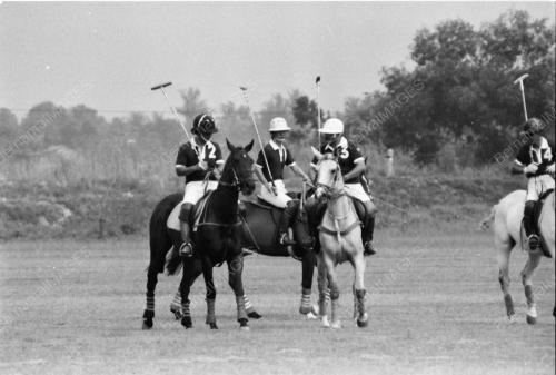 POLO