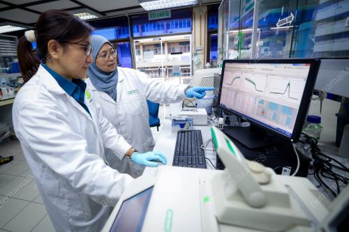 DR AINUR HUSNA M. S. SUHAIMI