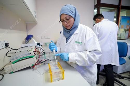 DR AINUR HUSNA M. S. SUHAIMI