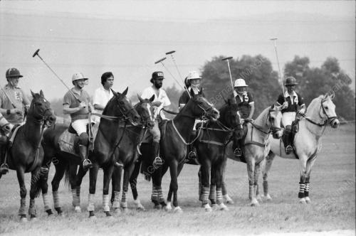 POLO