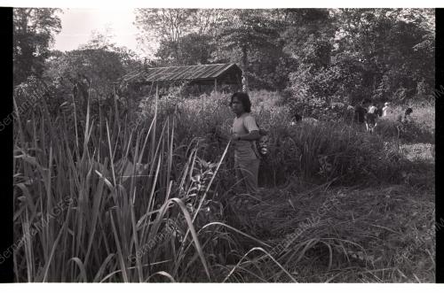 GOTONG ROYONG
