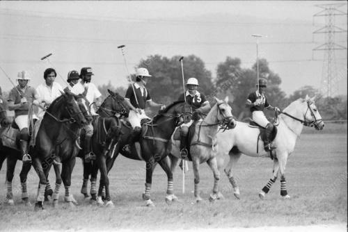 POLO