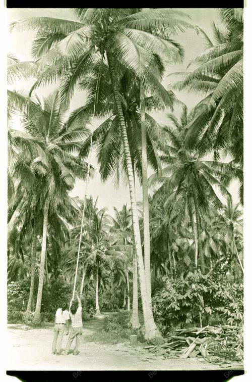 Kraftangan Tempurung Kelapa
