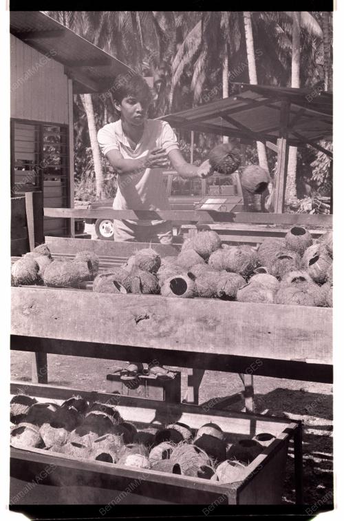 Kraftangan Tempurung Kelapa