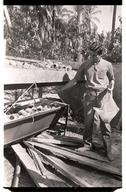 Kraftangan Tempurung Kelapa