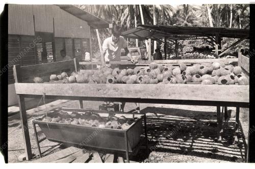 Kraftangan Tempurung Kelapa