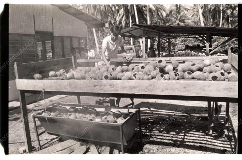 Kraftangan Tempurung Kelapa