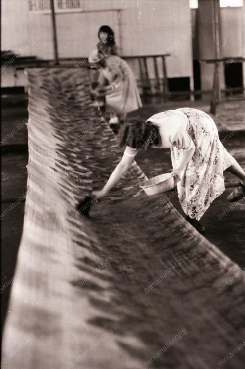 BATIK