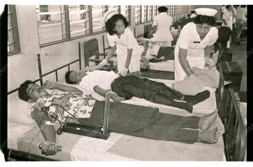 ANGGOTA RELA DERMA DARAH