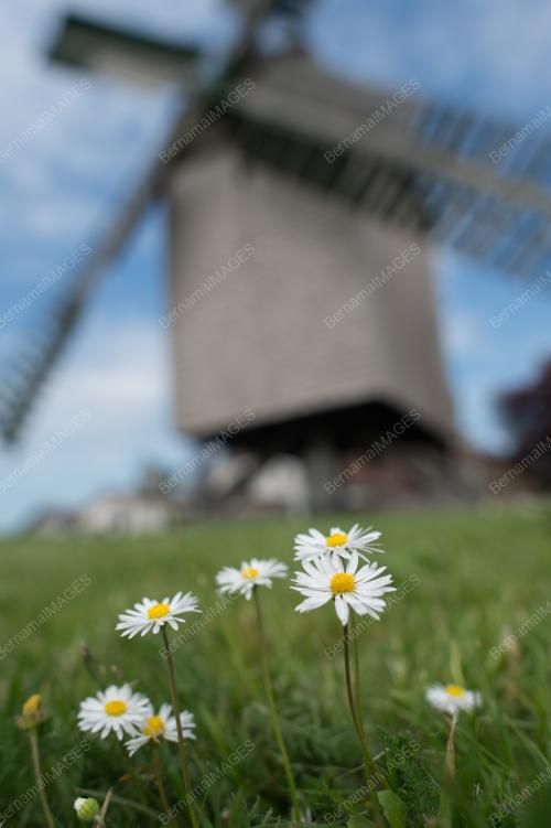 14956400580D74B4_18052017