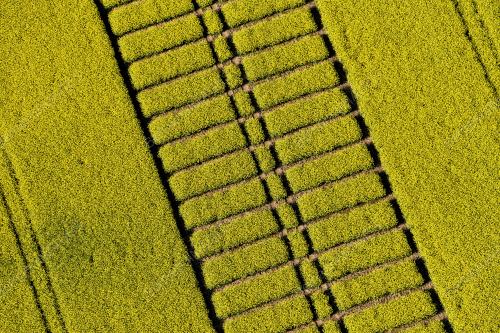 1495680023DCF98D_20052017