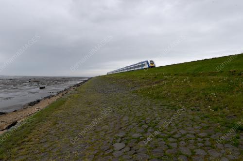14956800EAF6D8DF_21052017