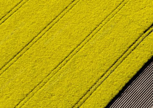 14956A00E96A9505_22052017