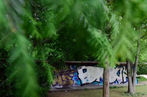 14956C006DD477DE_22052017
