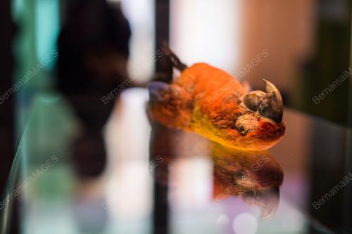 14956C00A935C9A9_23052017