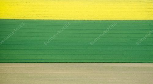 14956E007F6A5043_23052017