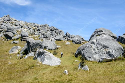 Castle Hill - - New Zealand