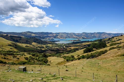 Akaroa - - New Zealand - - 27/01/2017