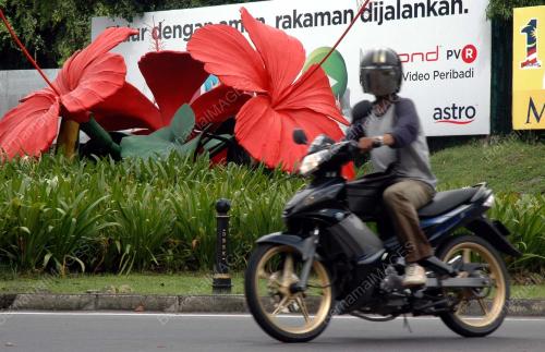 BUNGA RAYA