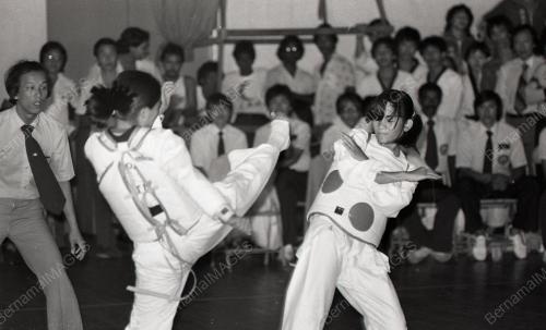 TAEKWONDO