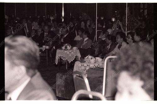 MUSA HITAM