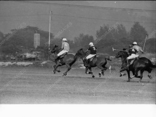 POLO