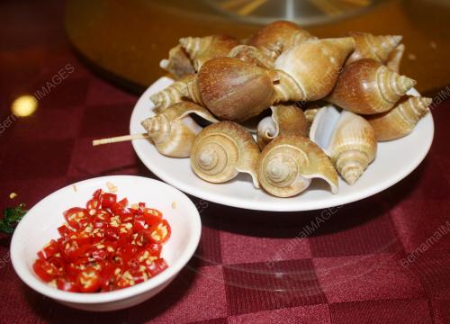 SIPUT GONGGONG