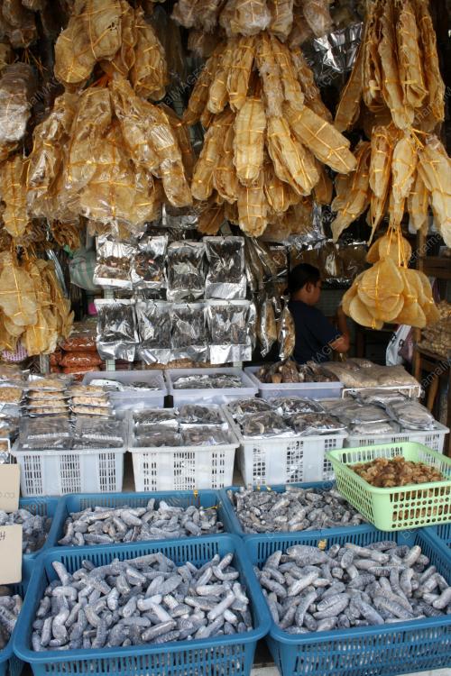 SIPUT GONGGONG