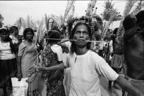 PERAYAAN THAIPUSAM