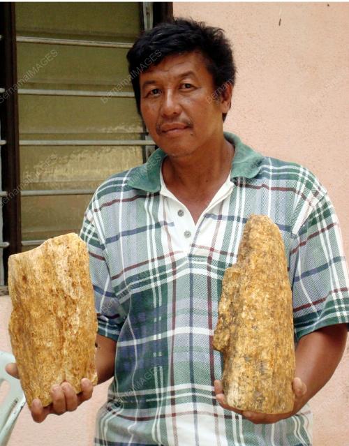 BAKAR PIKAT