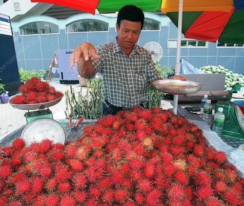 25_07_2000_PENIAGA_RAMBUTAN_08012016