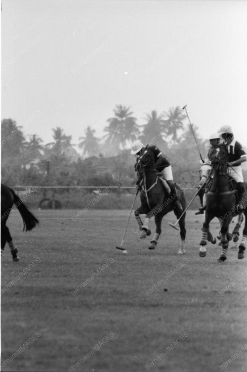 POLO