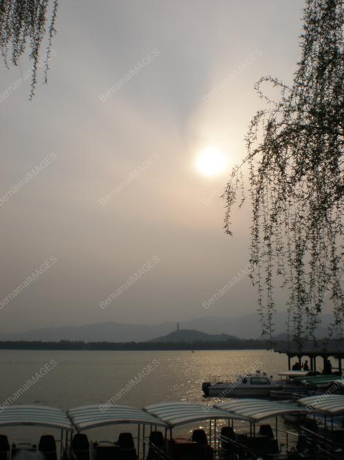 29628_07052009