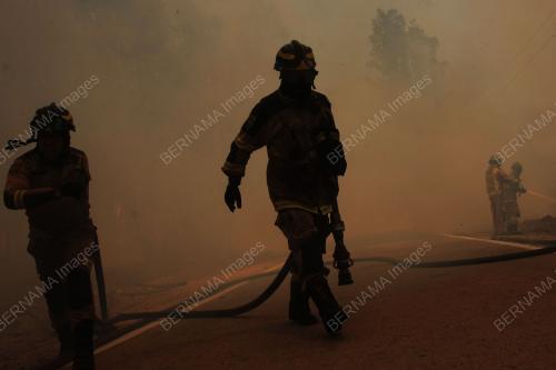 Forest fire in Chile