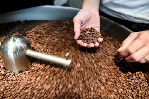 Drinking coffee every day prevents Alzheimer's disease