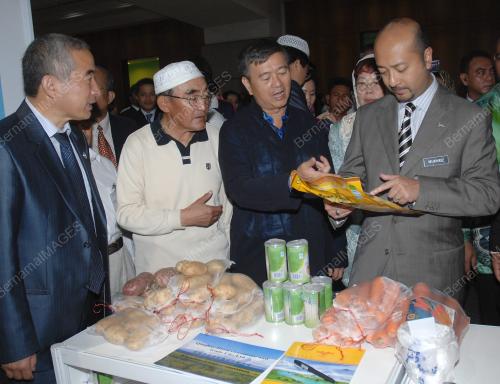 MUKHRIZ MAHATHIR