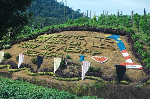 RUMAH PANJANG