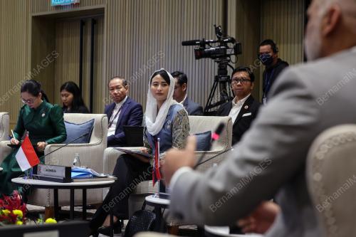 ASEAN DESARU 2025
