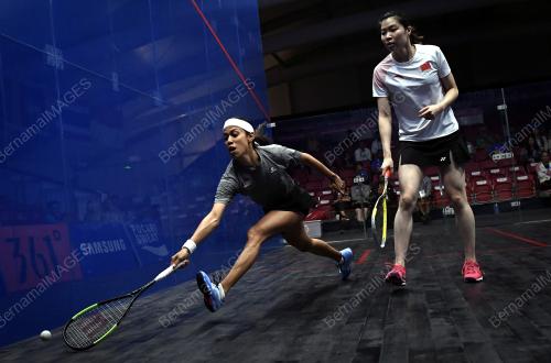 AG33_23082018_SQUASH